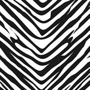 Black And  White Prints Fabric Zebra Stripes